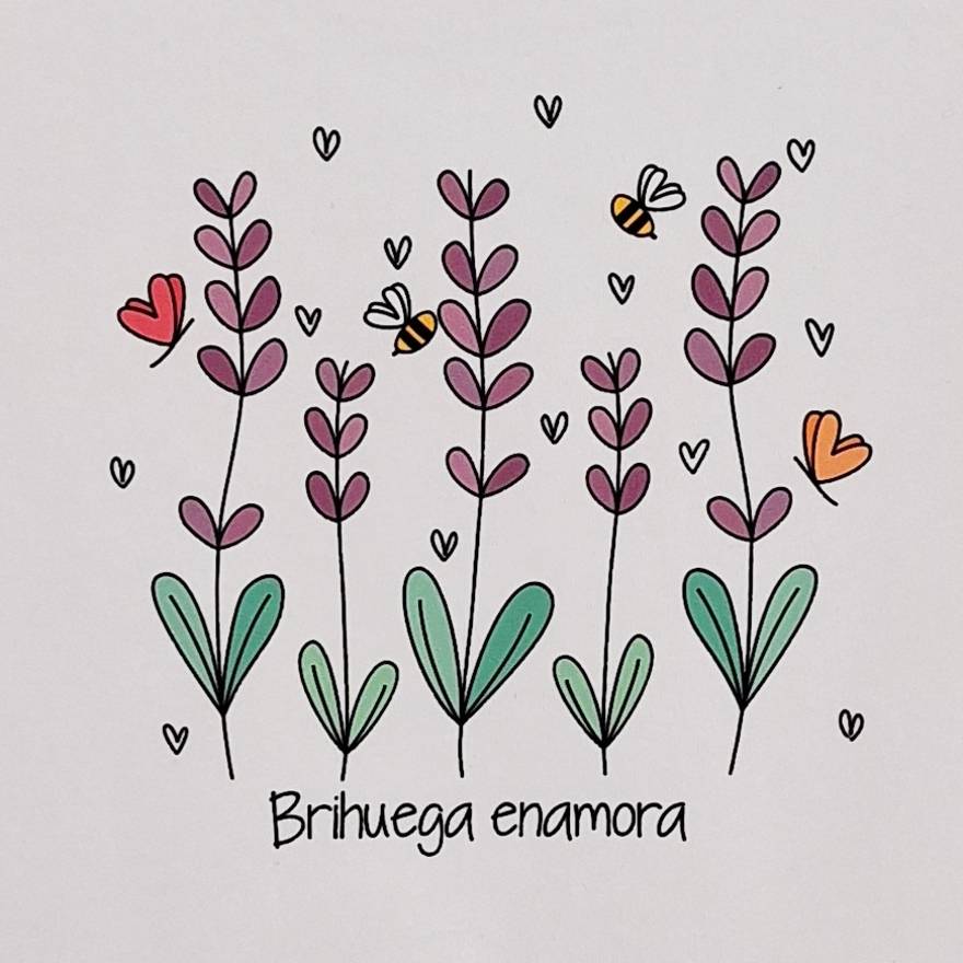 Qué comprar en Brihuega.
Camiseta para mujer con estampado de campos de lavanda y mensaje Brihuega enamora.
Manga corta y cuello barco.
Ideal para venir al festival de la lavanda.
Camisetas Kukuxumusu.
Turismo Brihuega.